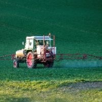 MEPs want drastic cut in use of chemical pesticides