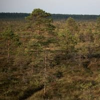 EU's Nature Restoration Law enters into force