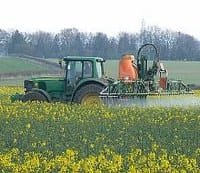 Brussels looks for short-term glyphosate extension