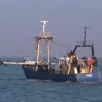 EU sets out proposal for sustainable fishing in Baltic Sea