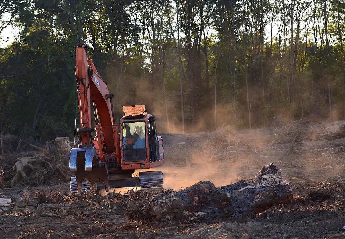 Companies to get extra year to comply with deforestation rules - EUbusiness.com | EU news, business and politics